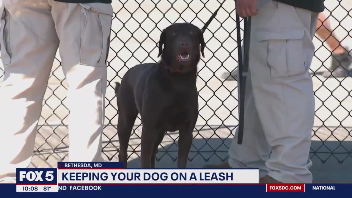 Dog owners in Montgomery County reminded of strict leash regulations